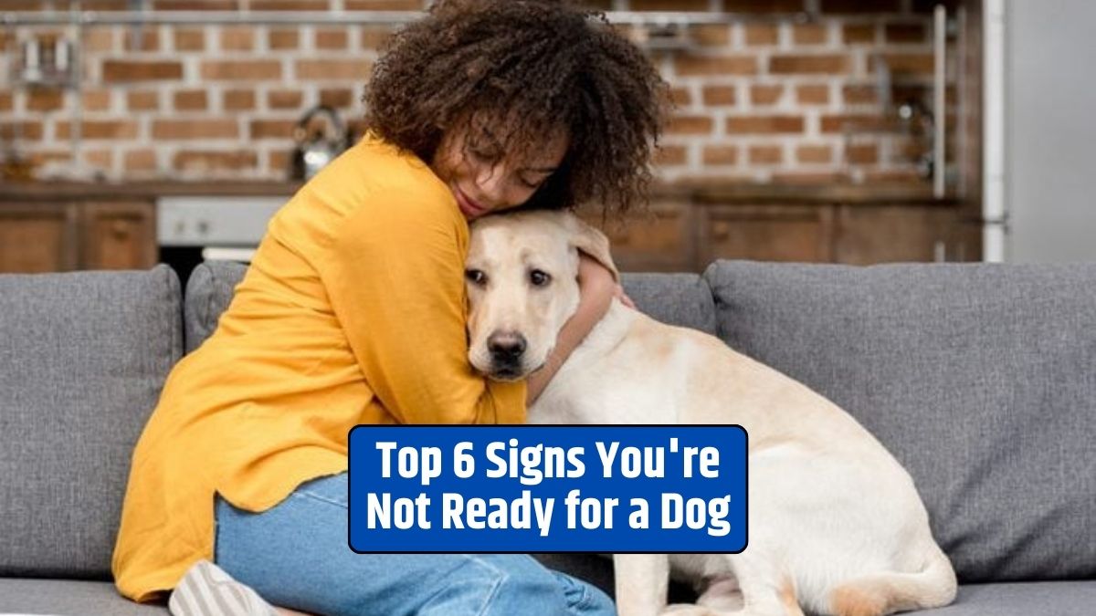 signs you're not ready for a dog, dog ownership readiness, responsible dog ownership, preparing for a dog, assessing dog ownership readiness,