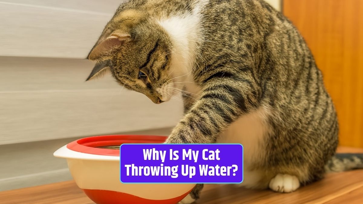 Cat vomiting, hairballs, cat dietary habits, feline hydration, gastrointestinal problems in cats, cat health concerns,